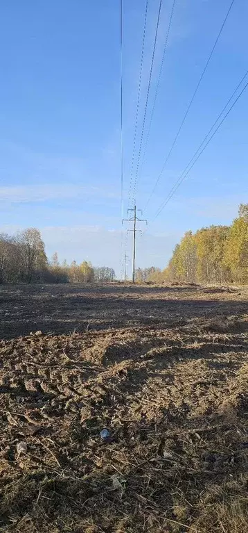 Участок в Московская область, Клин городской округ, Сигнал СНТ  (9.0 ... - Фото 1