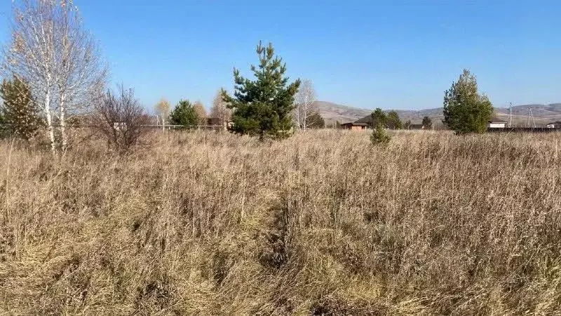 Участок в Алтай, Майминский район, с. Подгорное Центральная ул. (6.0 ... - Фото 1