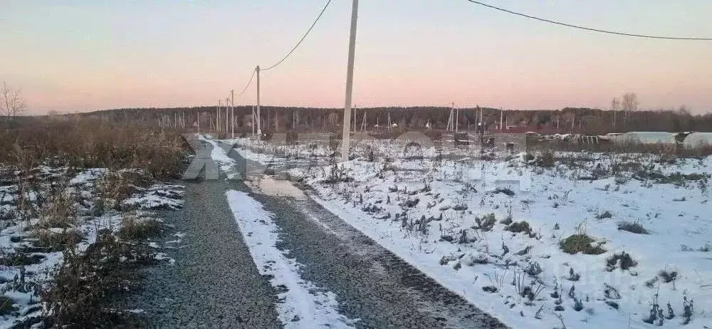 Участок в Новосибирская область, Новосибирский район, Кубовинский ... - Фото 2