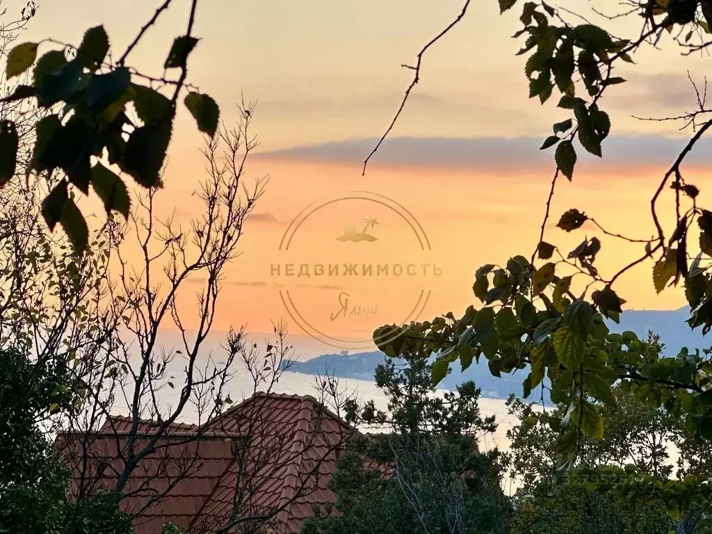 Участок в Крым, Ялта муниципальный округ, Восход пгт ул. Наташинская ... - Фото 1