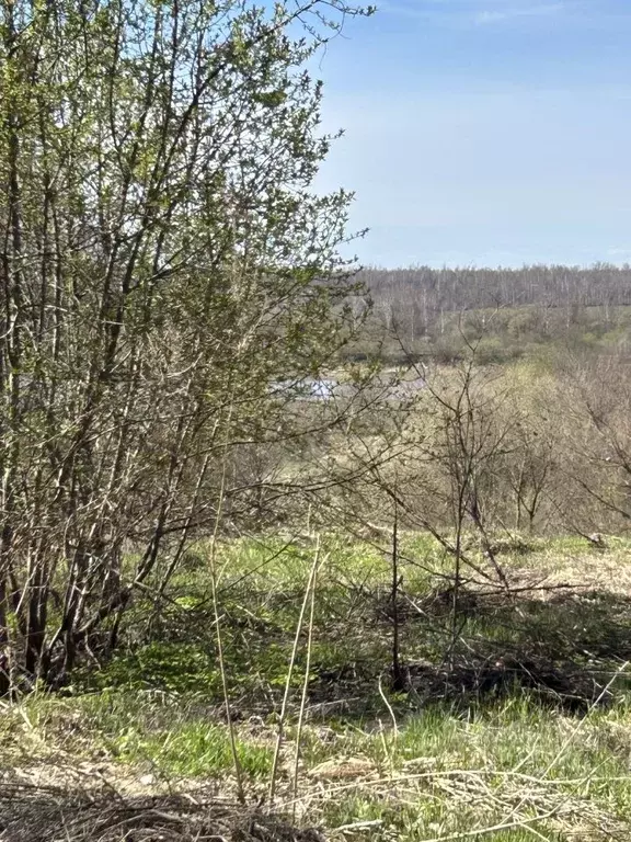 Участок в Тульская область, Тула городской округ, д. Долгое ул. ... - Фото 2