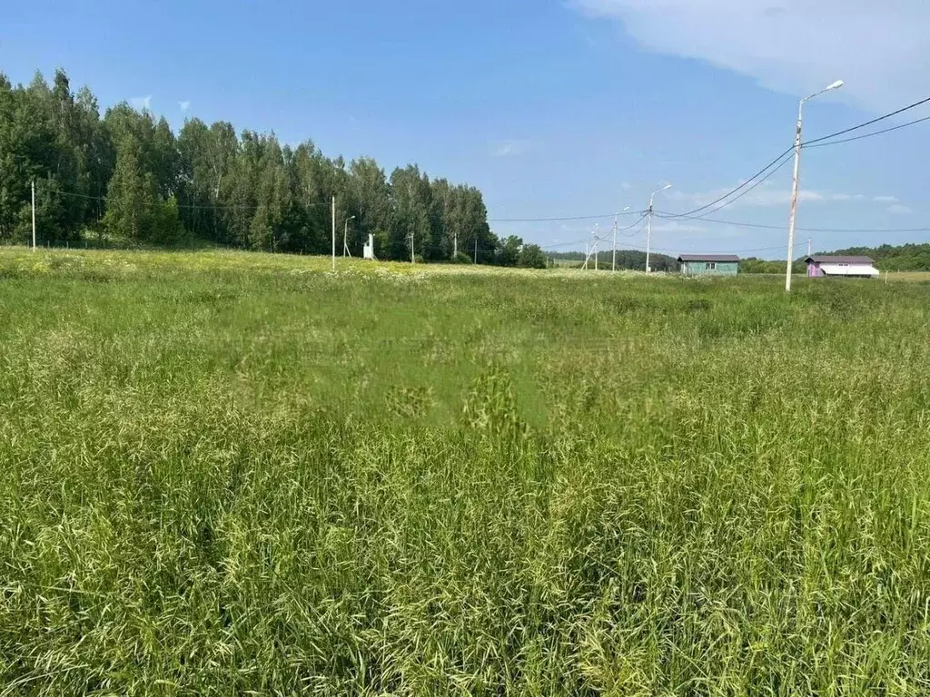 Участок в Татарстан, Пестречинский район, Конское с/пос, с. Конь ул. ... - Фото 1