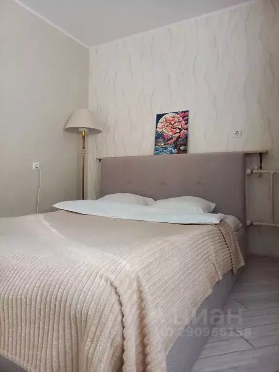 1-к кв. Саратовская область, Саратов ул. Имени М.В. Ломоносова, 10А ... - Фото 1