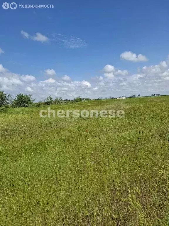 Участок в Равнополье, улица Калинина (70 м) - Фото 1