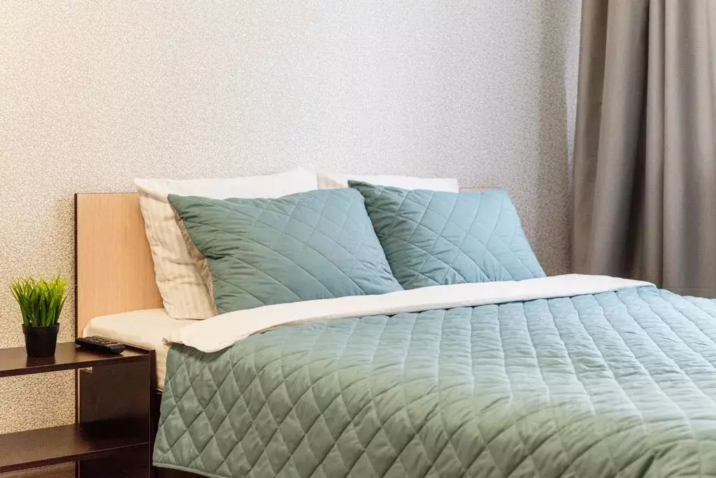 Студия Рязанская область, Рязанский район, Дядьковское с/пос, с. ... - Фото 1