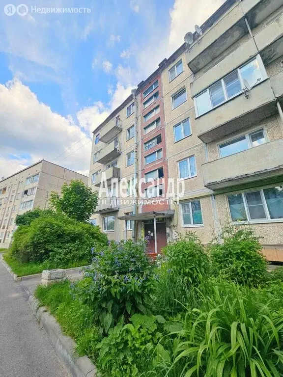 3-комнатная квартира: Каменногорск, Ленинградское шоссе, 85 (62 м) - Фото 1