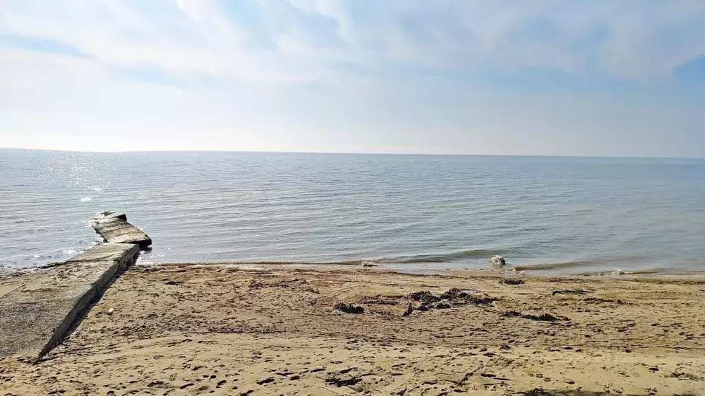 Участок в Ростовская область, Неклиновский район, с. Натальевка ул. ... - Фото 1