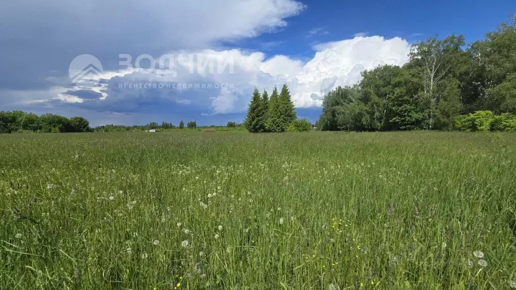 Участок в Чувашия, Чебоксарский муниципальный округ, с. Хыркасы  (8.08 ... - Фото 1