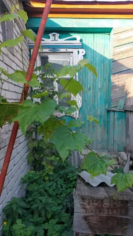 Дом в Ульяновская область, Чердаклы рп ул. Курчатова (49 м) - Фото 1