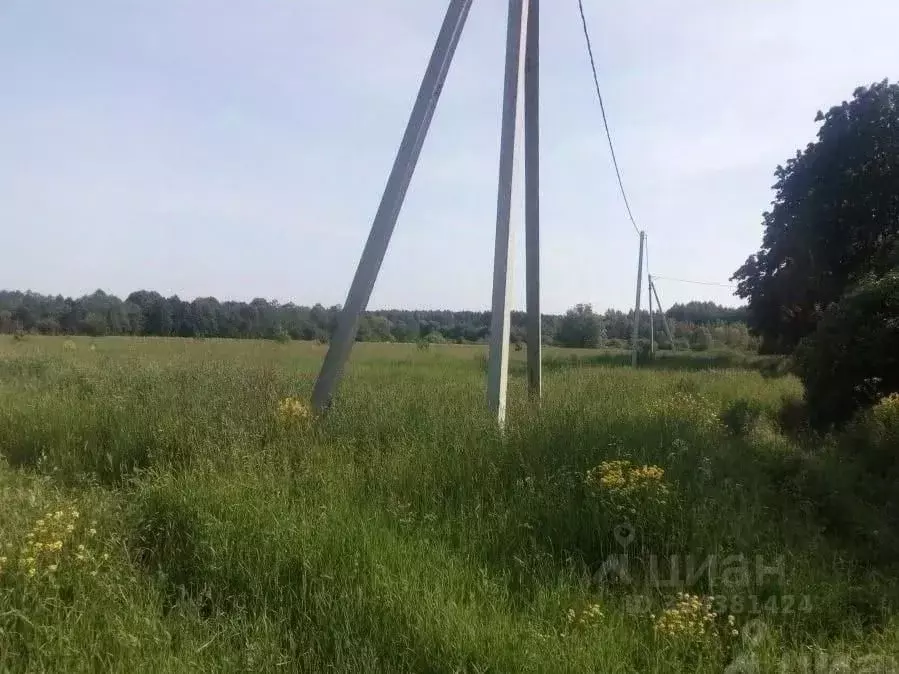 Участок в Тверская область, Калининский муниципальный округ, д. ... - Фото 1