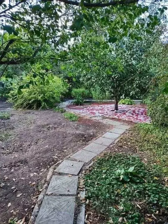 Дом в Волгоградская область, Краснослободск Среднеахтубинский район, ... - Фото 1