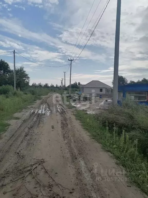 Участок в Алтайский край, Барнаул Восточный мкр, проезд Тупиковый, 63 ... - Фото 1