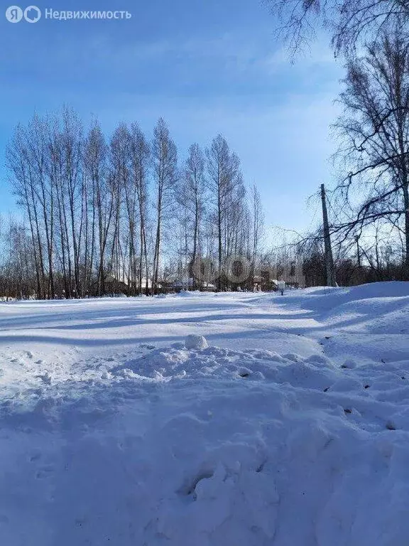 Участок в Новосибирск, улица Ивана Салащенко (8.12 м) - Фото 2