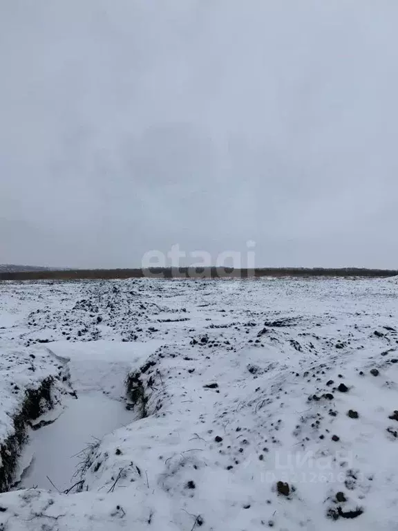 Участок в Белгородская область, Белгородский муниципальный округ, ... - Фото 1