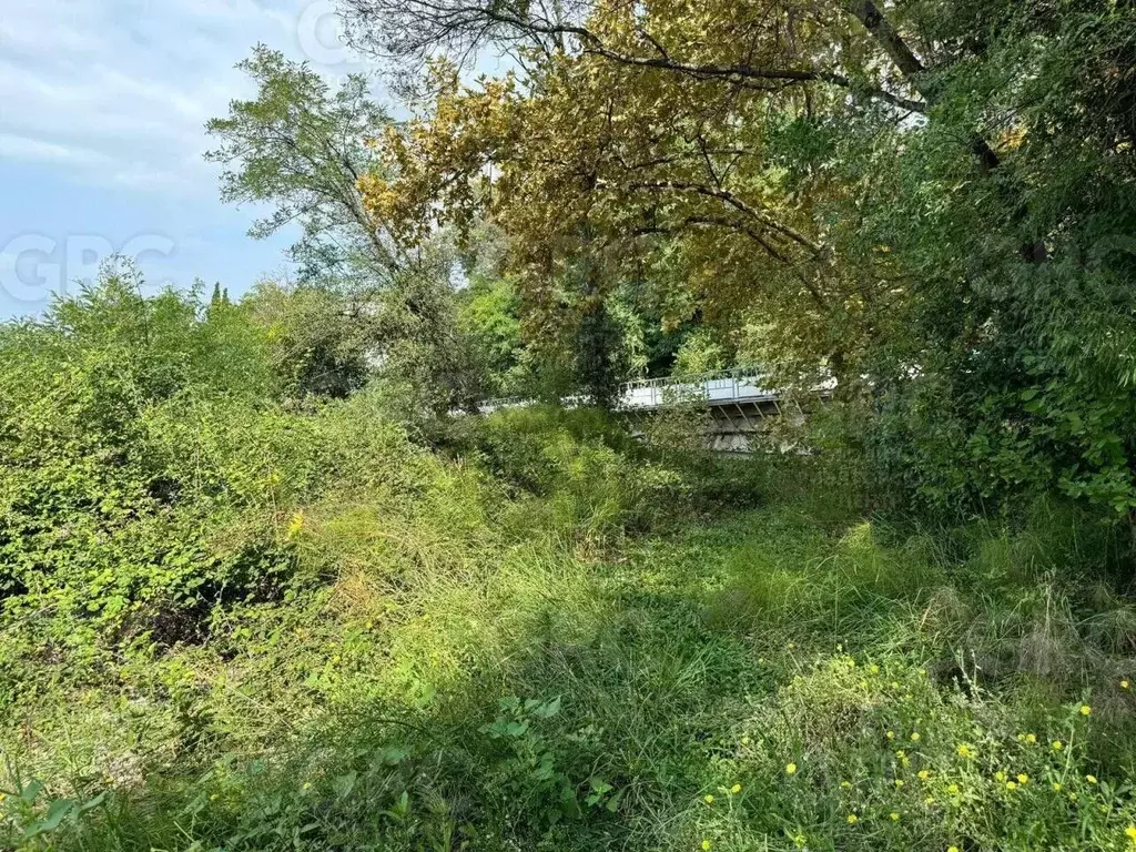 Участок в Краснодарский край, Сочи А-147, 173-й км (25.0 сот.) - Фото 2