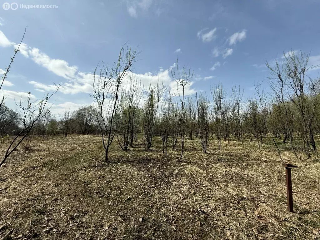 Участок в Ярославская область, Переславль-Залесский муниципальный ... - Фото 1