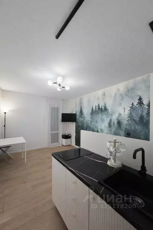 Студия Санкт-Петербург наб. Реки Каменки, 19к1 (19.0 м) - Фото 2