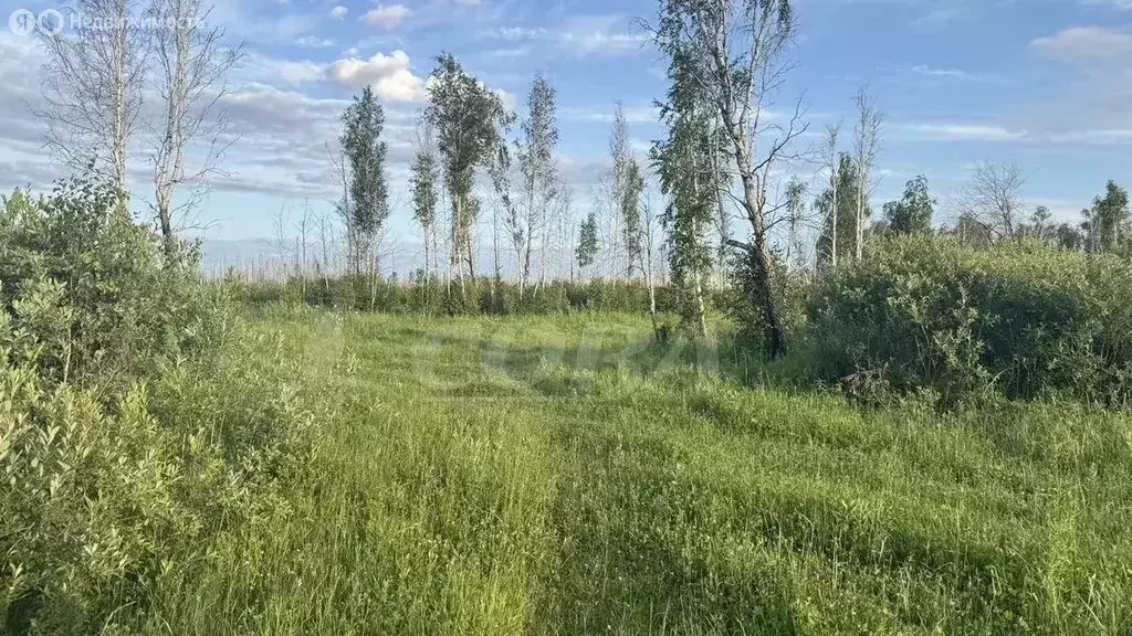 Участок в Тюменский муниципальный округ, посёлок городского типа ... - Фото 2