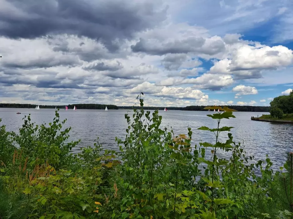 Участок в Московская область, Мытищи городской округ, д. Шолохово  ... - Фото 1