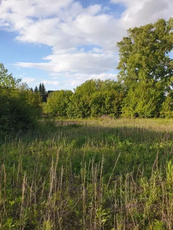 Дом в Новосибирская область, Новосибирск 2-я Ракитная ул. (33 м) - Фото 2