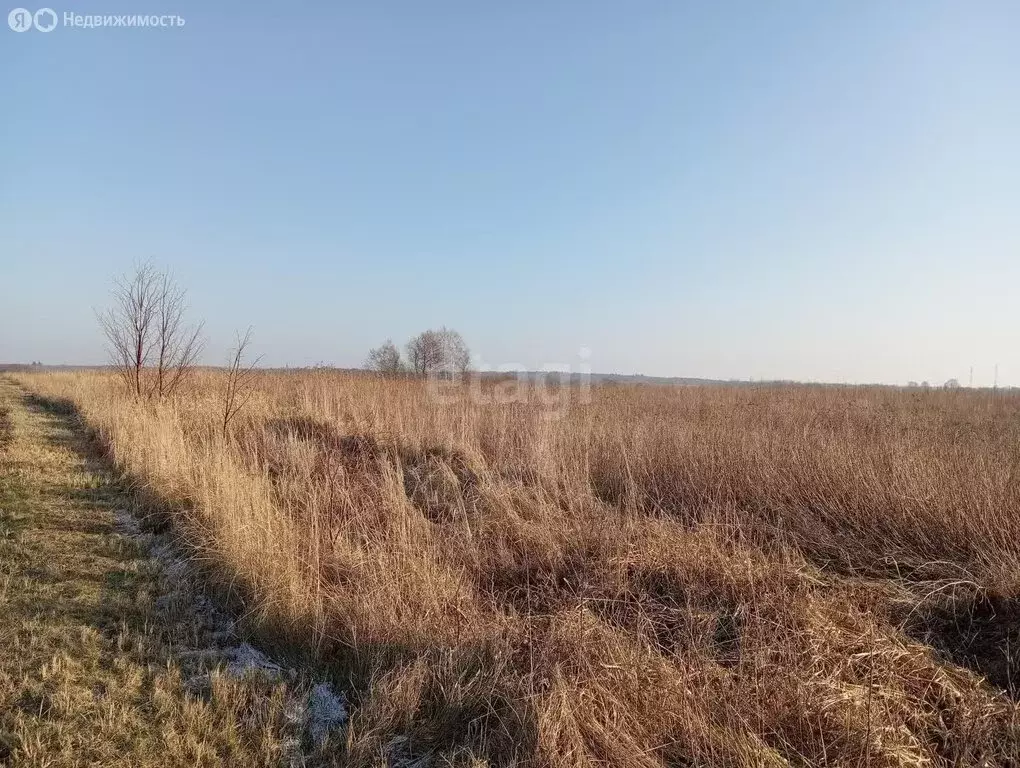 Участок в Калининградская область, Зеленоградский муниципальный округ, ... - Фото 1