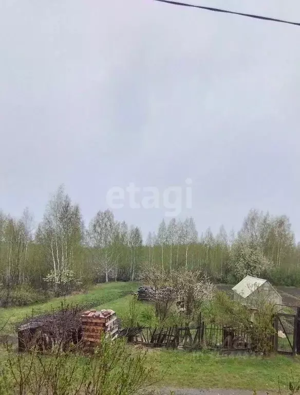 Участок в Свердловская область, Нижний Тагил Роща СНТ, ул. 6-я, 270 ... - Фото 1