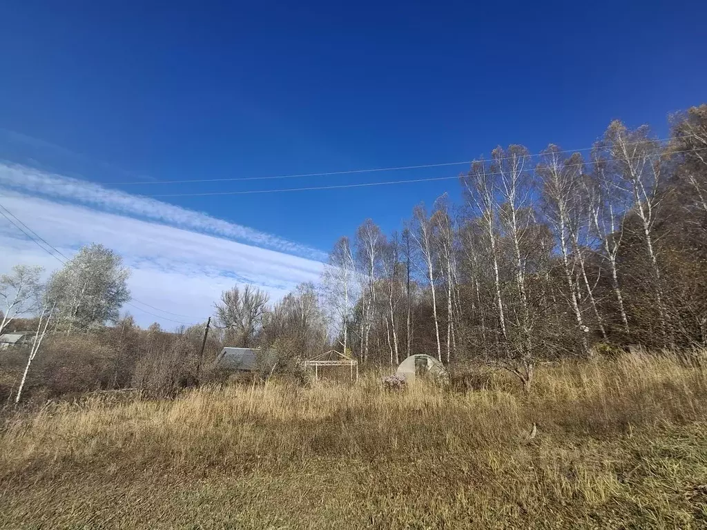 Дом в Нижегородская область, Богородский муниципальный округ, д. ... - Фото 0