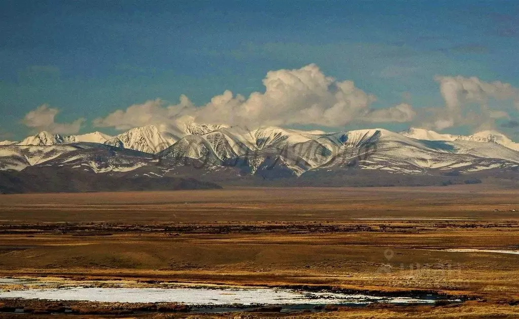 Участок в Алтай, Кош-Агачский район, с. Ортолык  (82.3 га.) - Фото 1