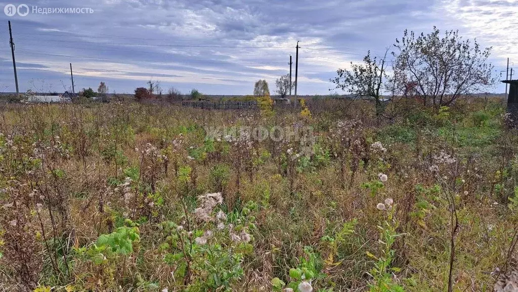 Участок в село Криводановка, Шоссейная улица (10 м) - Фото 1