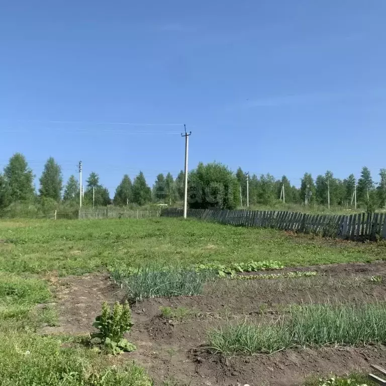 Дом в Кемеровская область, Кемеровский муниципальный округ, д. ... - Фото 1