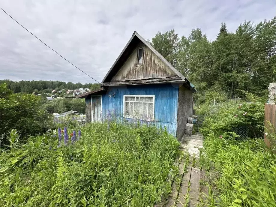 Дача 22,6 м на участке 6,1 сот. - Фото 1
