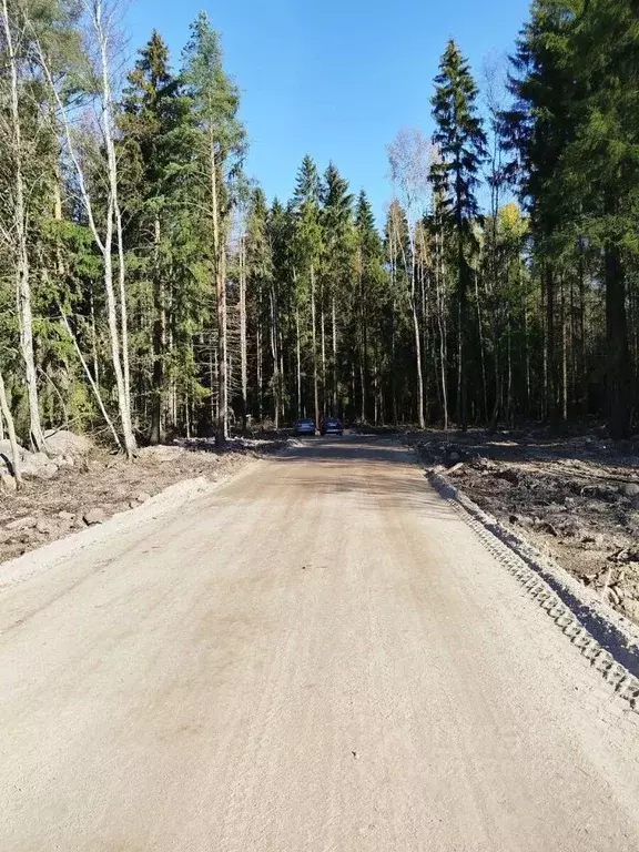 Участок в Ленинградская область, Всеволожск  (7.94 сот.) - Фото 2