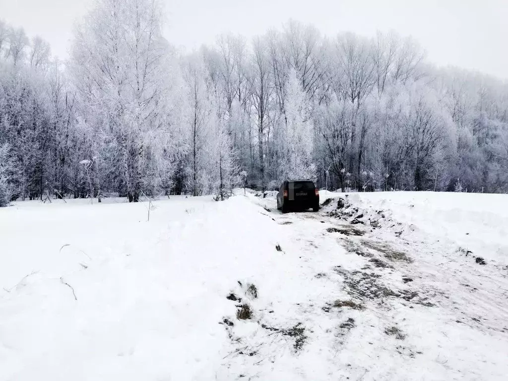 Участок в Владимирская область, Муромский район, с. Ковардицы 4-я ... - Фото 1