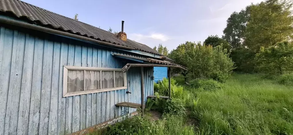 Дом в Смоленская область, Починковский муниципальный округ, д. ... - Фото 1