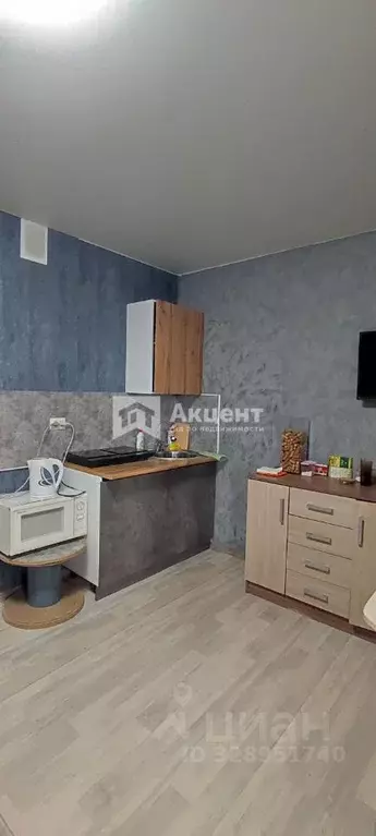 Студия Ивановская область, Кохма ул. Машиностроительная, 8 (24.7 м) - Фото 2