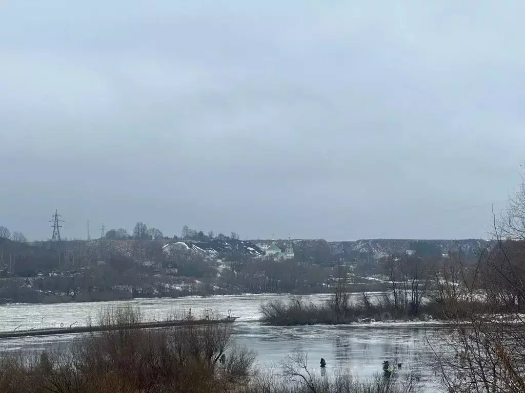 Дом в Рязанская область, Спасский муниципальный округ, пос. ... - Фото 2
