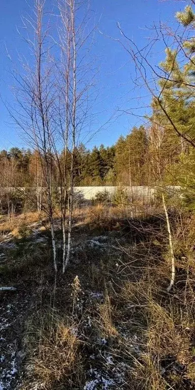 Участок в Владимирская область, Владимир д. Уварово, ул. Юринская ... - Фото 1