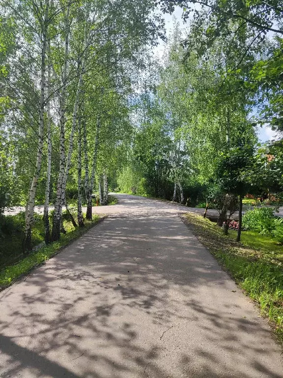 Продается участок в д. Кучино - Фото 1