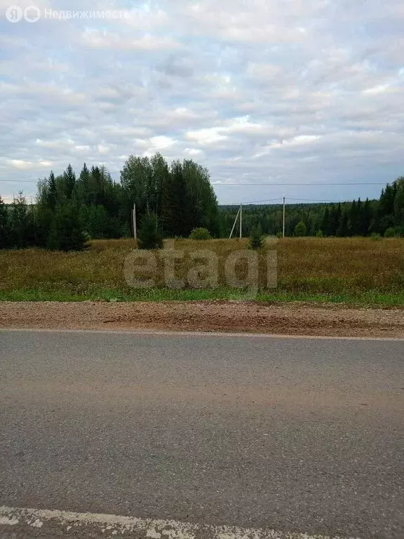 Участок в Пермский край, Чернушинский муниципальный округ, село ... - Фото 2