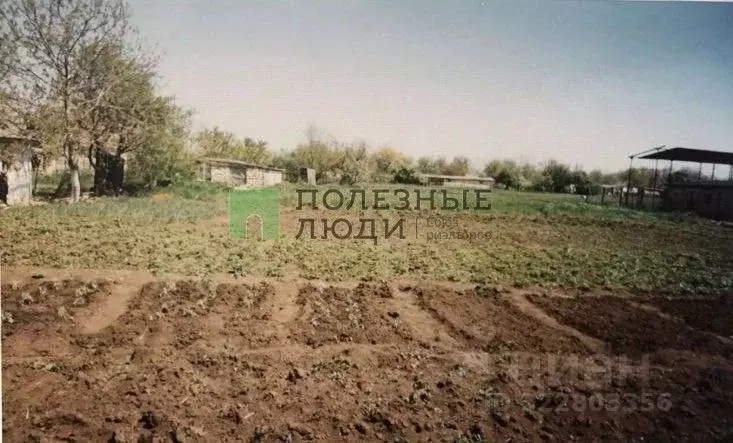 Участок в Крым, Ленинский район, с. Останино пер. Колхозный, 2 (16.0 ... - Фото 2