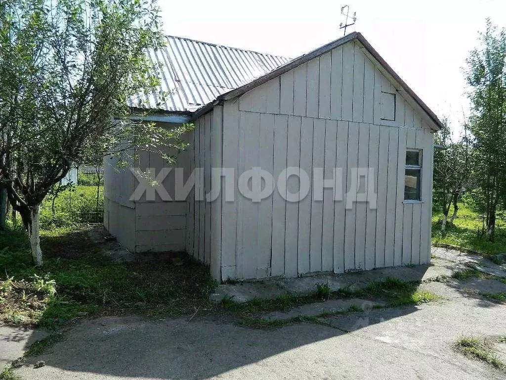 Дом в Новосибирская область, Новосибирск Строитель СНТ, ул. 4-я (76 м) - Фото 1