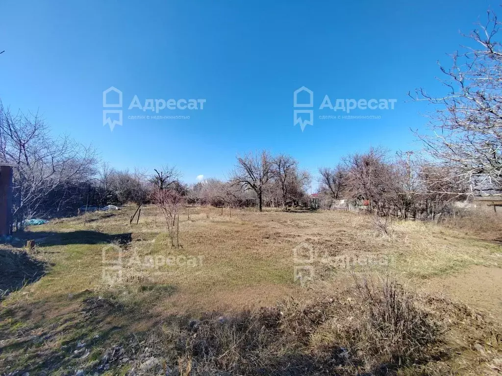 Участок в Волгоградская область, Волгоград Дзержинец СНТ, ... - Фото 1