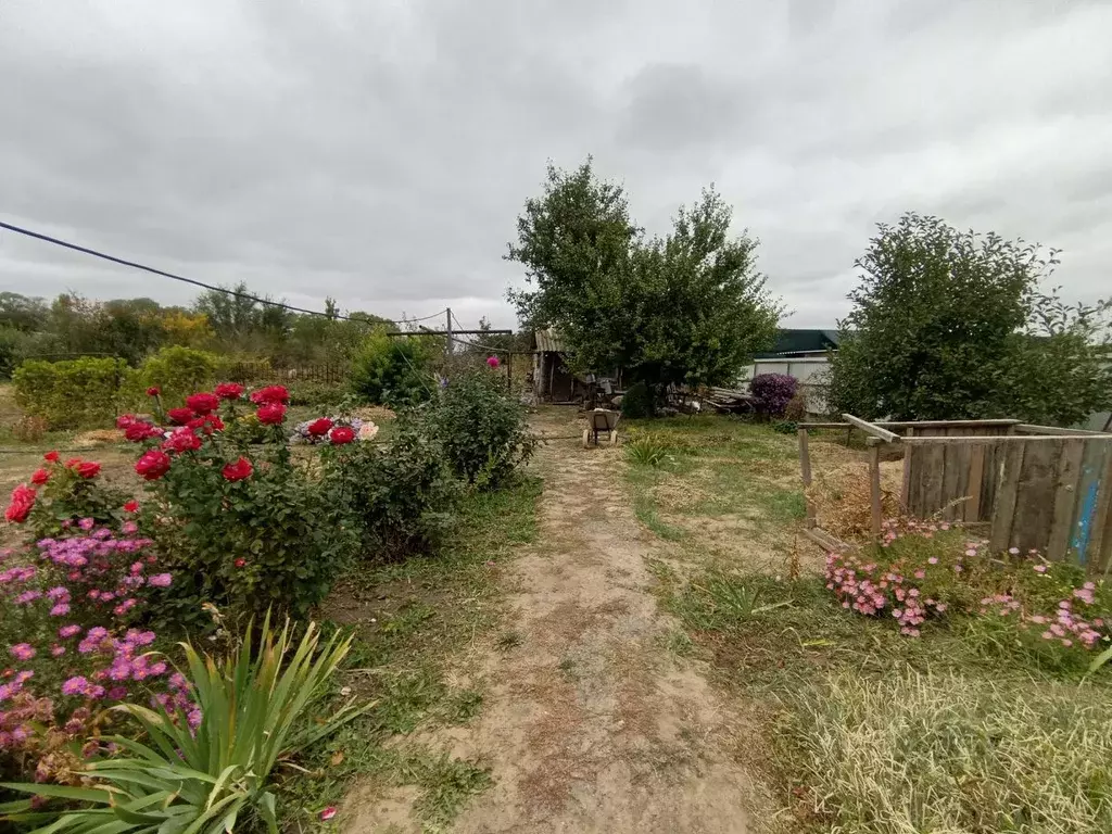 Дом в Волгоградская область, Ленинск ул. Гоголя (63 м) - Фото 2