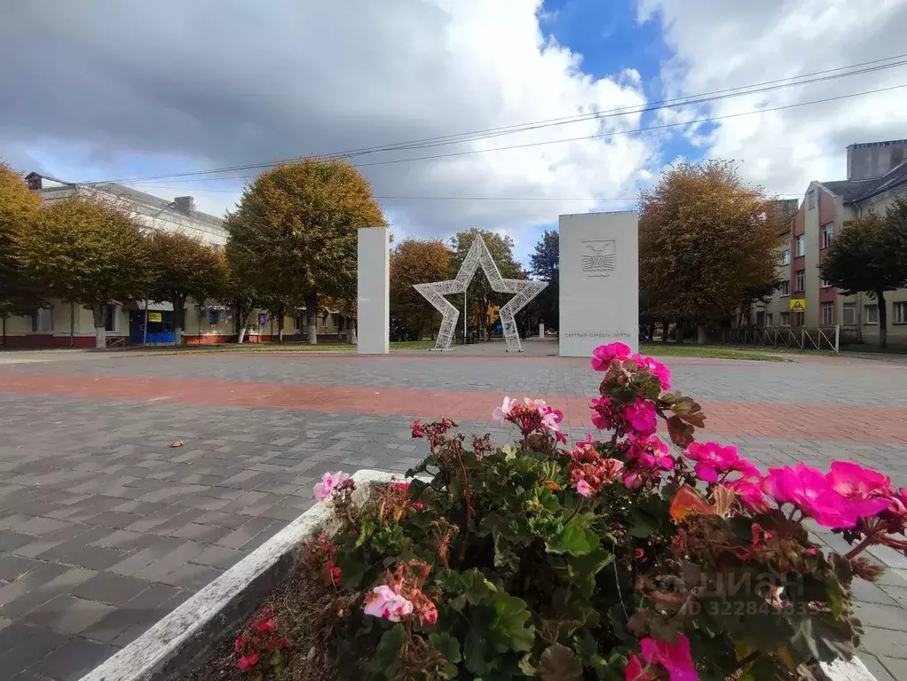 2-к кв. Калининградская область, Светлый бул. Нахимова, 5 (44.0 м) - Фото 2