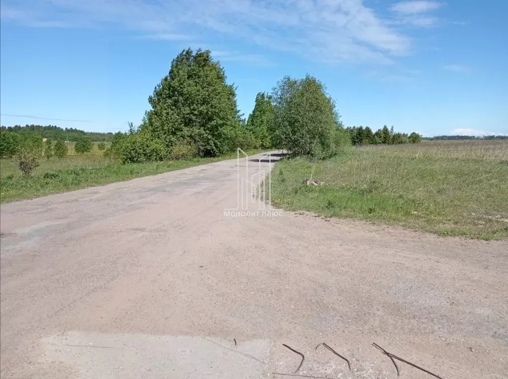 Участок в Ленинградская область, Волосовский район, Клопицкое с/пос, ... - Фото 2