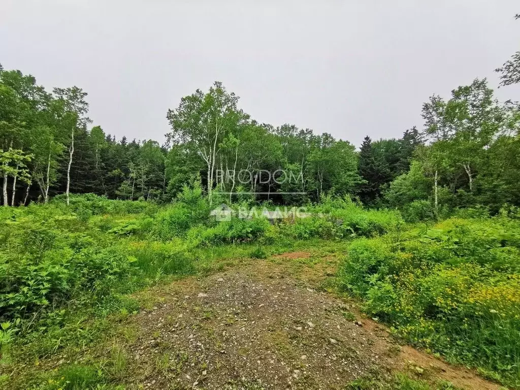 Участок в Сахалинская область, Корсаковский городской округ, с. ... - Фото 1