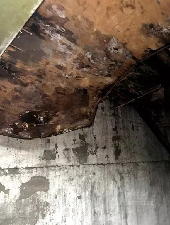 Гараж в Ханты-Мансийский АО, Нягань ул. Чернышова, 4 (22 м) - Фото 1