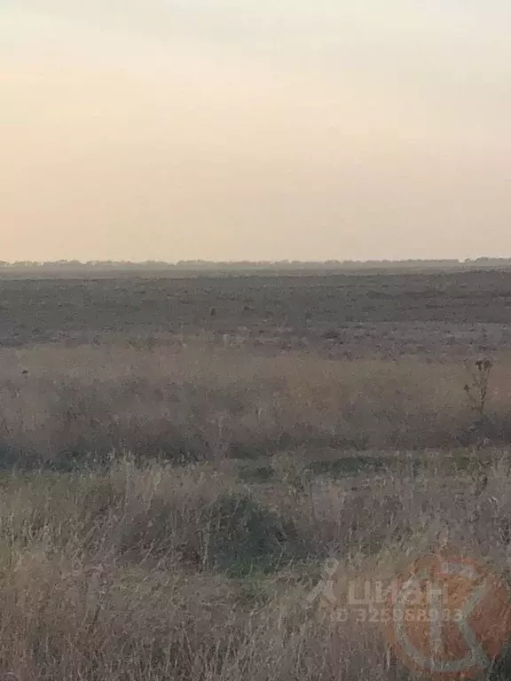 Участок в Крым, Сакский район, Штормовское с/пос, с. Крыловка ул. ... - Фото 2