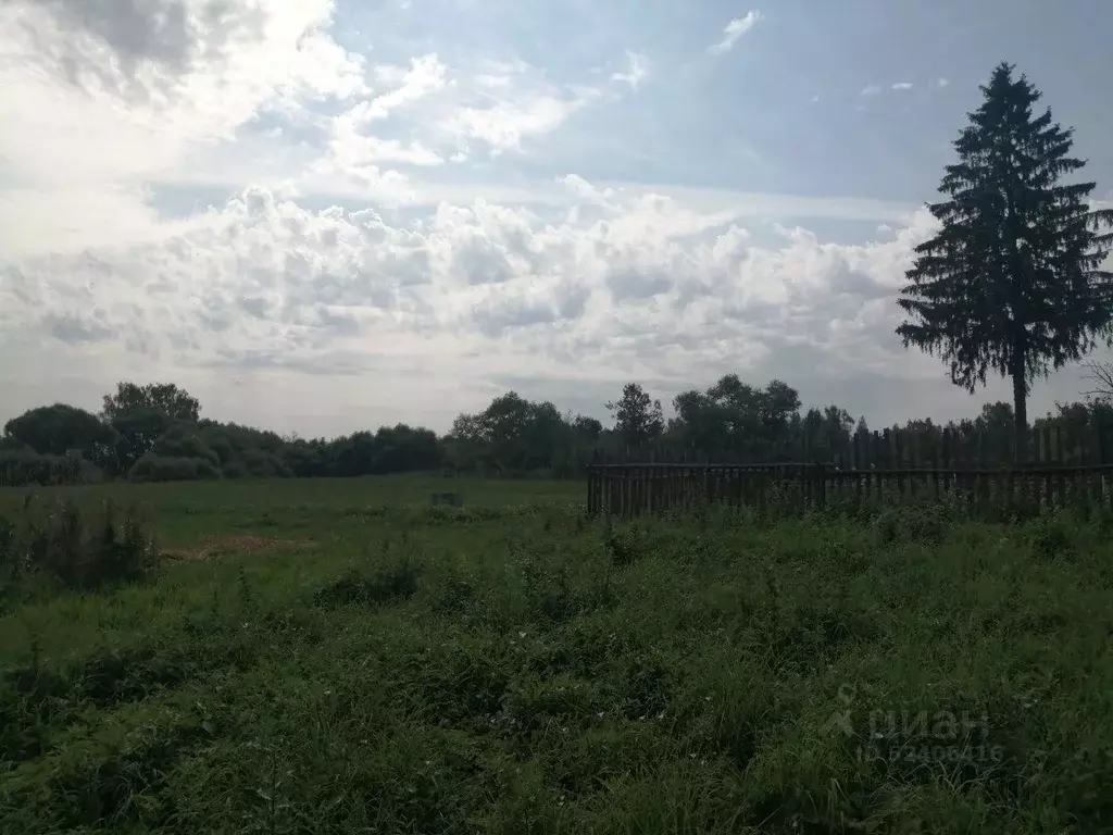 Участок в Владимирская область, Александровский район, с. Зиновьево  ... - Фото 1