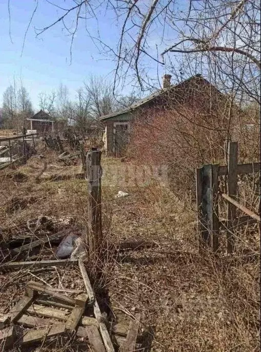 Дом в Вологодская область, Сокол Артиллерийская ул., 25 (54 м) - Фото 1